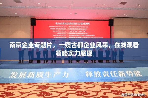 南京企业专题片，一窥古都企业风采，在线观看领略实力展现