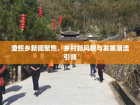 澄照乡新闻聚焦，乡村新风貌与发展潮流引领