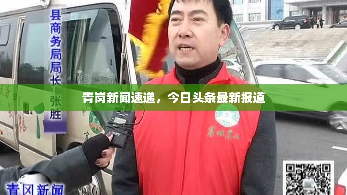 青岗新闻速递，今日头条最新报道