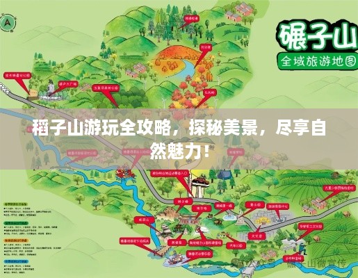 稻子山游玩全攻略，探秘美景，尽享自然魅力！