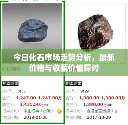 今日化石市场走势分析，最新价格与收藏价值探讨