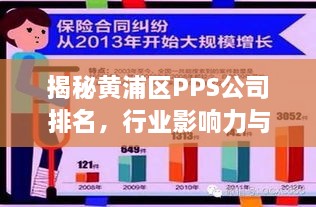 揭秘黄浦区PPS公司排名，行业影响力与业绩背后的秘密！