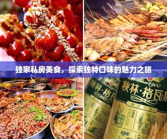 独家私房美食，探索独特口味的魅力之旅