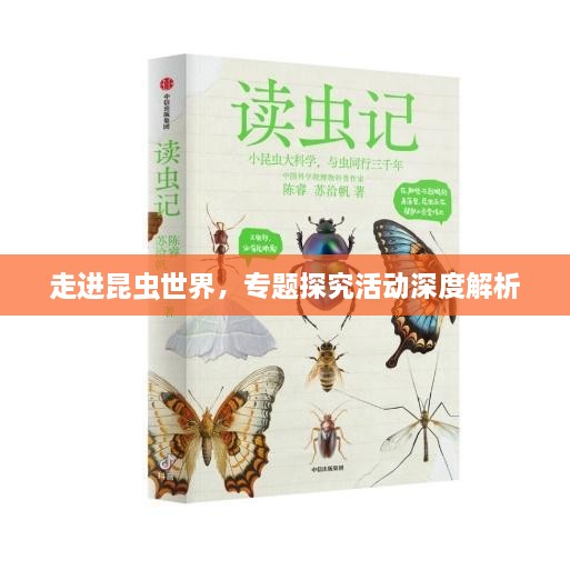 走进昆虫世界，专题探究活动深度解析