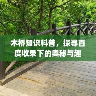 木桥知识科普，探寻百度收录下的奥秘与趣味