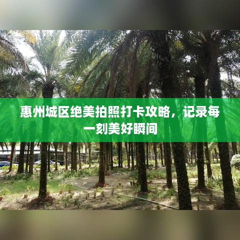惠州城区绝美拍照打卡攻略，记录每一刻美好瞬间
