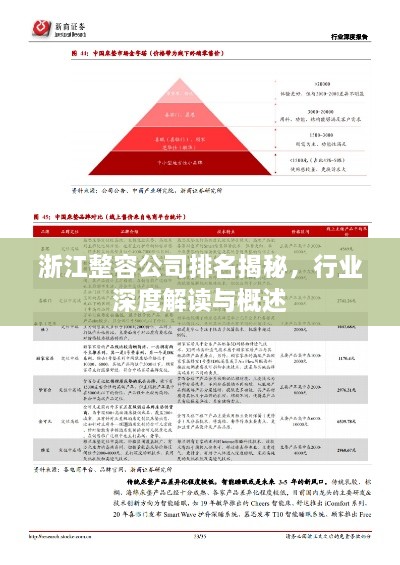 浙江整容公司排名揭秘，行业深度解读与概述