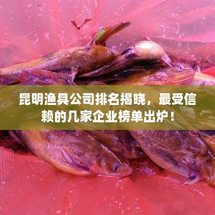 昆明渔具公司排名揭晓，最受信赖的几家企业榜单出炉！
