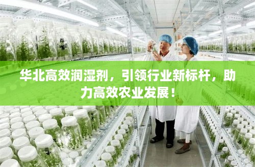 华北高效润湿剂，引领行业新标杆，助力高效农业发展！