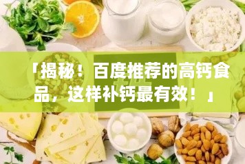 2025年4月 第8页