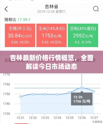 吉林最新价格行情概览，全面解读今日市场动态