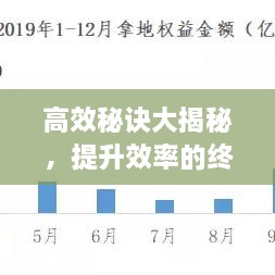 高效秘诀大揭秘，提升效率的终极策略助你飞速前行！
