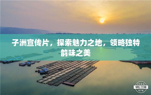 子洲宣传片，探索魅力之地，领略独特韵味之美