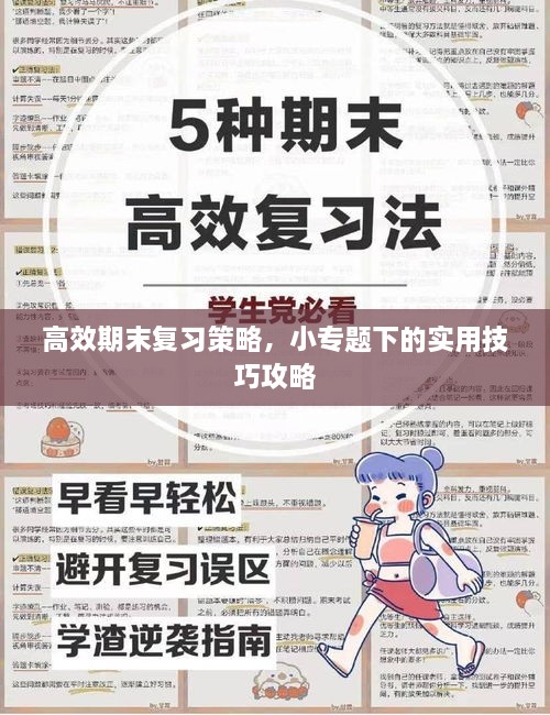 高效期末复习策略，小专题下的实用技巧攻略
