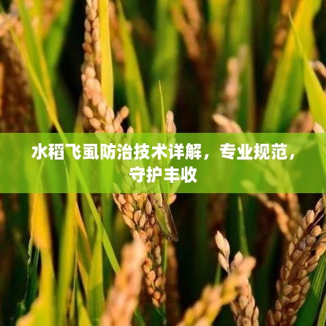2025年4月 第2页
