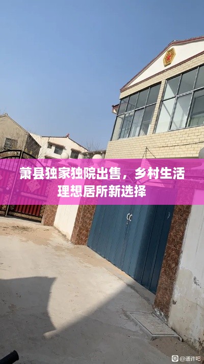 对答如流