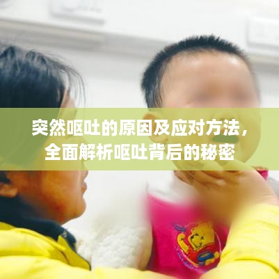 突然呕吐的原因及应对方法，全面解析呕吐背后的秘密