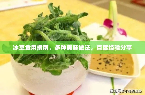 冰草食用指南，多种美味做法，百度经验分享
