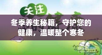 冬季养生秘籍，守护您的健康，温暖整个寒冬