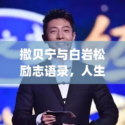 撒贝宁与白岩松励志语录，人生思考中的奋进力量源泉
