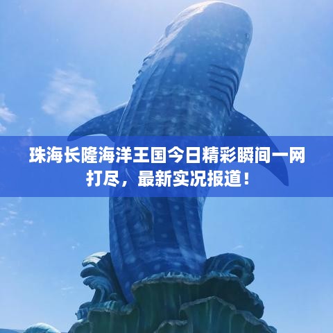 珠海长隆海洋王国今日精彩瞬间一网打尽，最新实况报道！