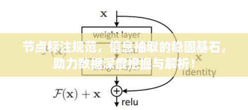节点标注规范，信息抽取的稳固基石，助力数据深度挖掘与解析！