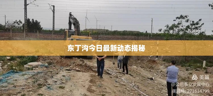 东丁沟今日最新动态揭秘