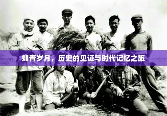 知青岁月，历史的见证与时代记忆之旅