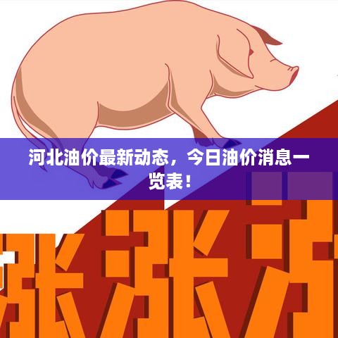 河北油价最新动态，今日油价消息一览表！