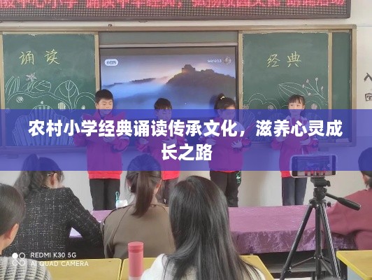 贵险贱璧