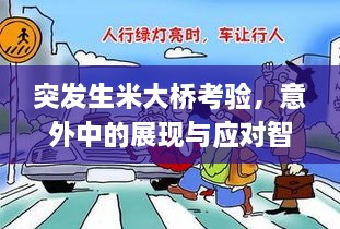 突发生米大桥考验，意外中的展现与应对智慧