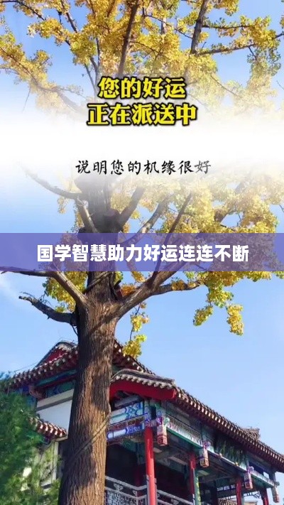 国学智慧助力好运连连不断