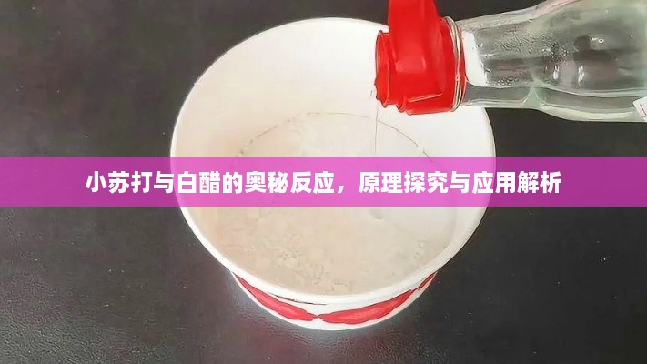 小苏打与白醋的奥秘反应，原理探究与应用解析